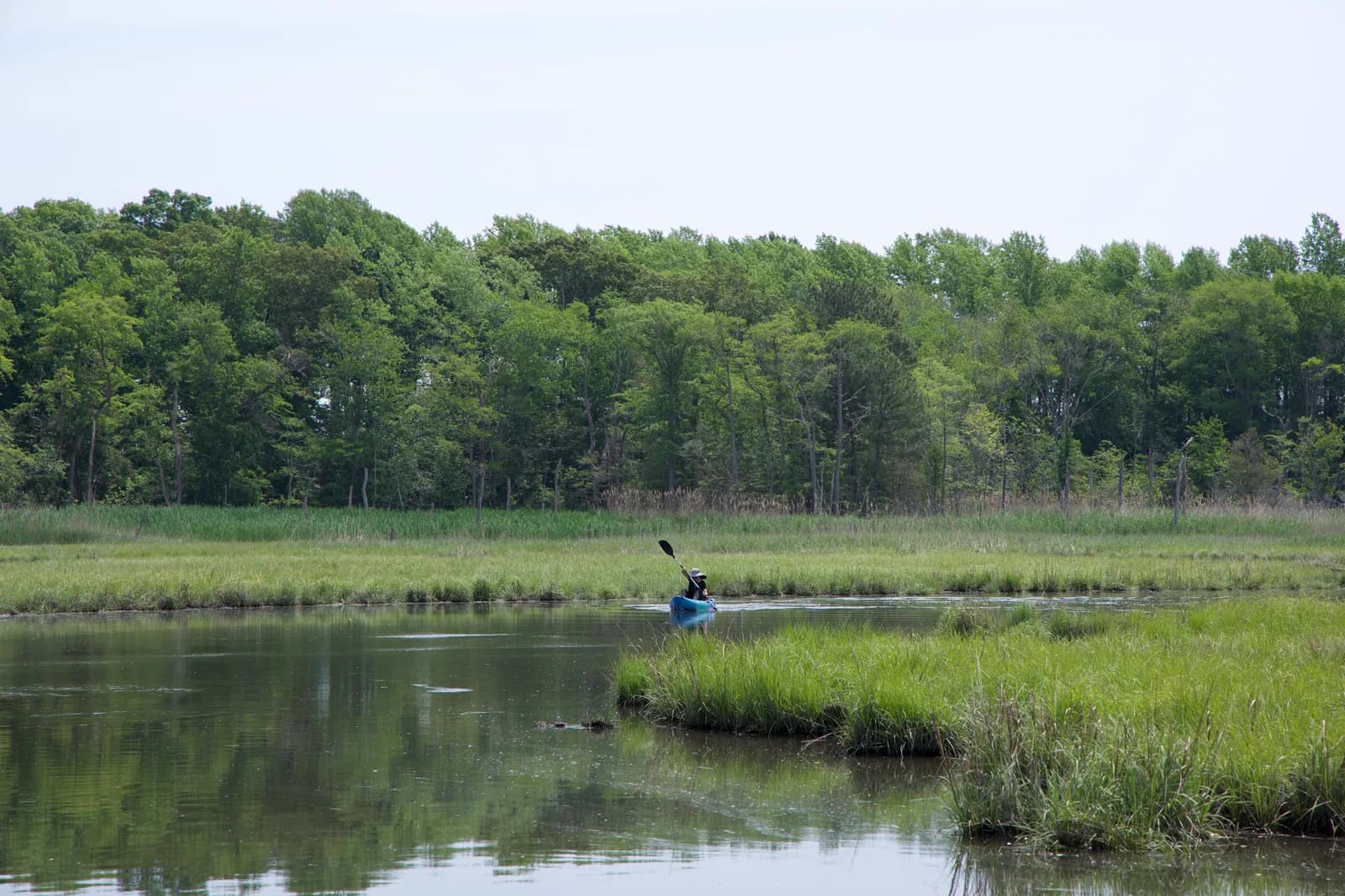 Kayak Through the Marsh